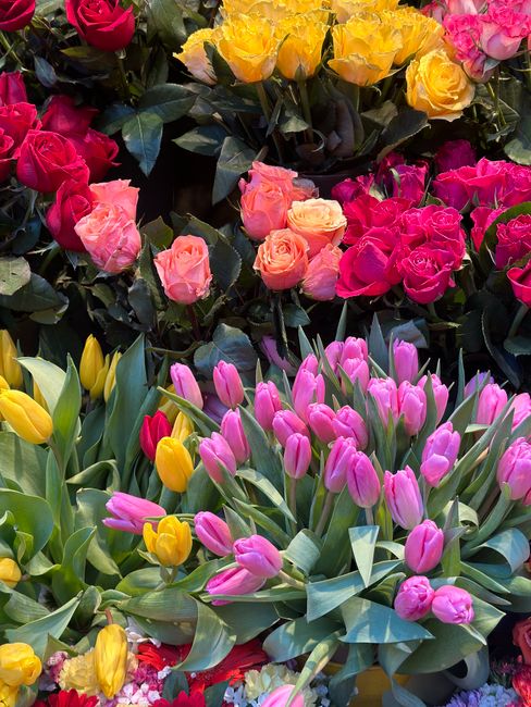 A vibrant floral display featuring clusters of pink and yellow tulips with fresh, smooth petals and lush green leaves, arranged in a natural, bouquet style. The tulips are set against a background of 