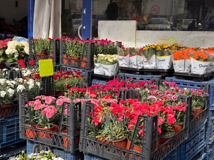 A display of vibrant, freshly potted flowers arranged in black plastic crates outside a flower shop. The collection includes pink, red, white, yellow, and orange blooms with lush green foliage, wrappe